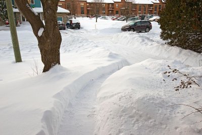 snow_scene_at_dusk_raw_modified.jpg