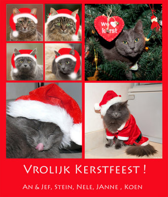 kerstkaart2012.jpg