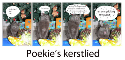 poekies kerstbis.jpg