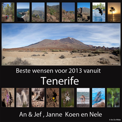 Tenerife 2012