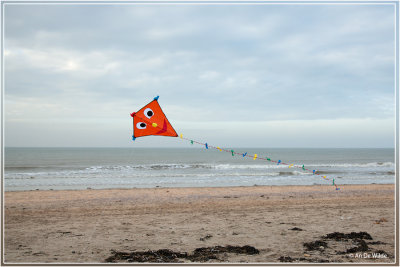 _MG_0929kopie.jpg