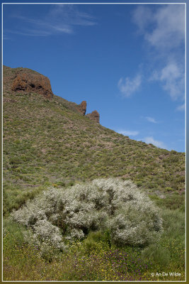 Santiago del Teide