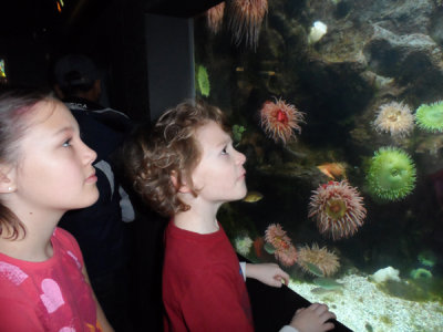 Liam wanted was so interested in every single exhibit