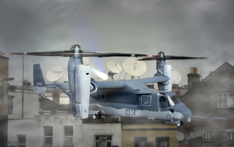 Osprey landing.jpg