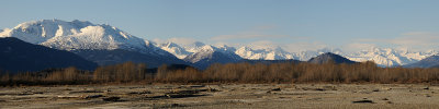 Chilkat Eagle Reserve