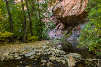 West Fork - Sedona