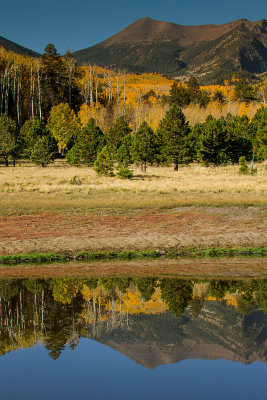 Lockett Meadow, Flagstaff