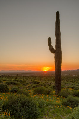 Apache Junction