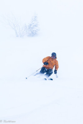 DSC05539_small.jpg