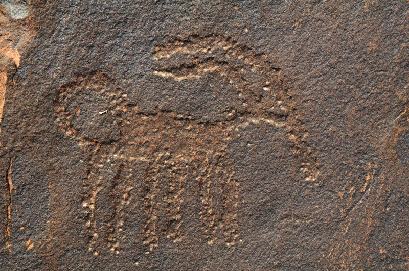 Six-legged Bighorn Petroglyph
