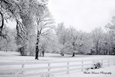 Winter in Tennessee