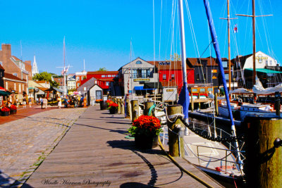 Newport Harbor - Rhode Island.jpg