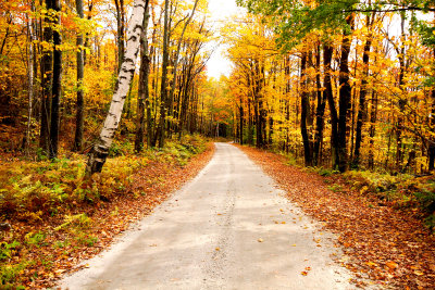 7834 Road to Awls head scenic overlook.jpg