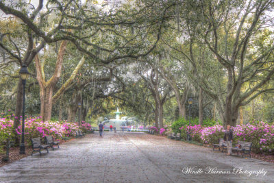 3570_ Savannah 1C.jpg