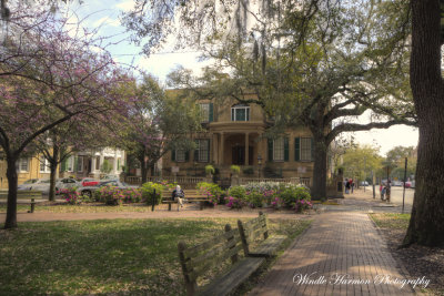 3948 Savannah.jpg