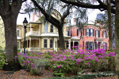 IMG_3601 Savannah Ga..jpg