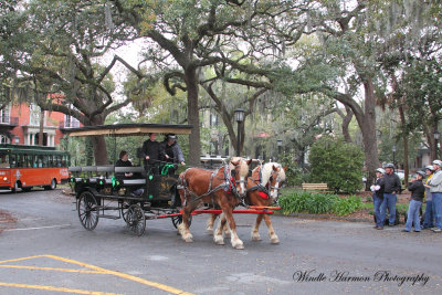 3622  Savannah Ga..jpg