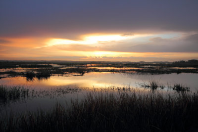 _3839Savannah Nat. Wildlife Refuge.JPG