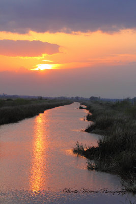 3833Savannah Nat. Wildlife Refuge.JPG