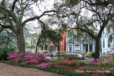 3600 Savannah.jpg