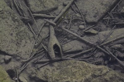 IMG18259.jpg