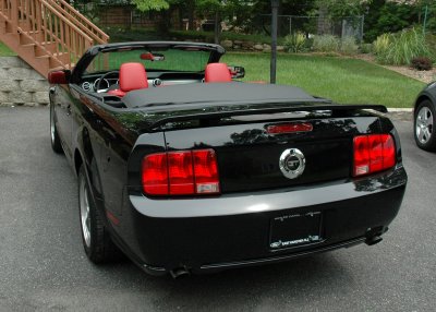 Mustang GT- Brand New - View 3