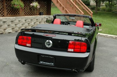 Mustang GT- Brand New - View 4