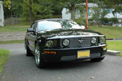 DSC_5631V2.jpg