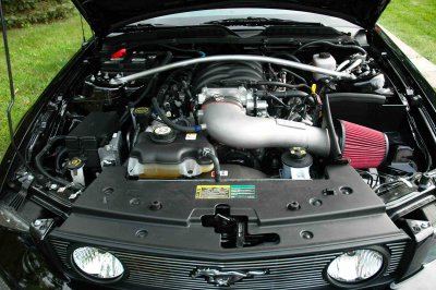 DSC_5644V2.jpg