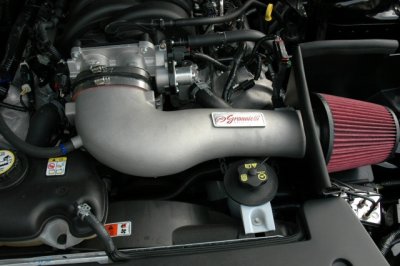 DSC_5646V1.jpg