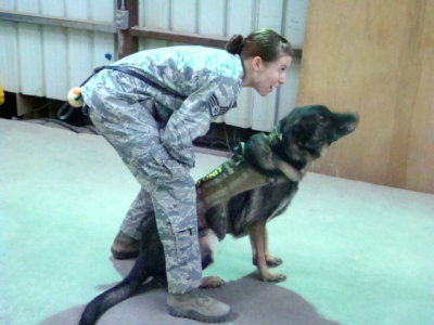 SSgt Alexandria Jecha and MWD Dexter training session is being photographed as part of the exercise.