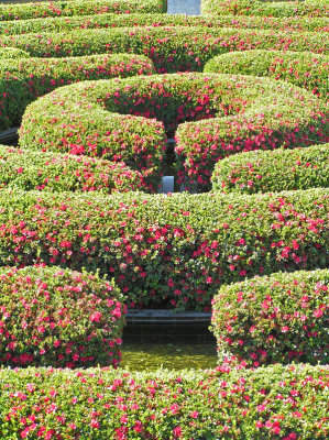 Getty Center Gardens