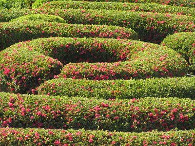 Getty Center Gardens
