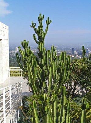 Getty Center Gardens