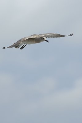 image0020.jpg