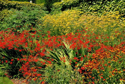 Hatley Castle Gardens Victoria