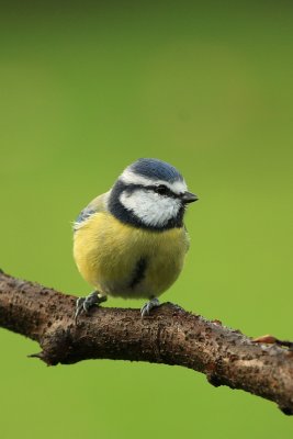 sized_IMG_2069001.jpg