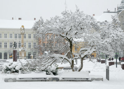 Havas január Szombathelyen  -  Snowy January in Szombathely