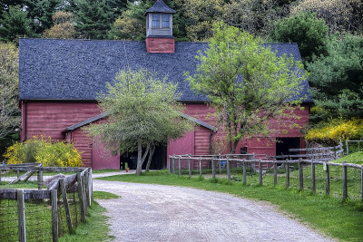 DSC_0422_tonemapped.jpg