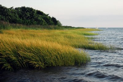 Shoreline.jpg