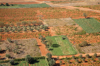 Agricultural fields in Greece polja v Grčiji_MG_4402-111.jpg