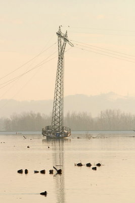 Lake Ptuj Ptujsko jezero_MG_9793-11.jpg