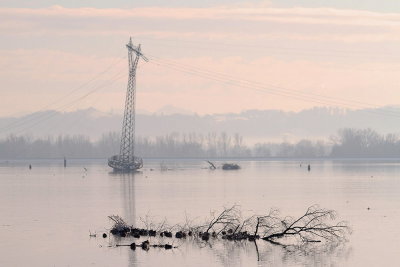 Lake Ptuj after flood Ptujsko jezero po poplavi_MG_9775-111.jpg