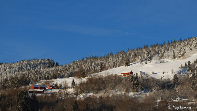 Lundamo, west side of river Gaula