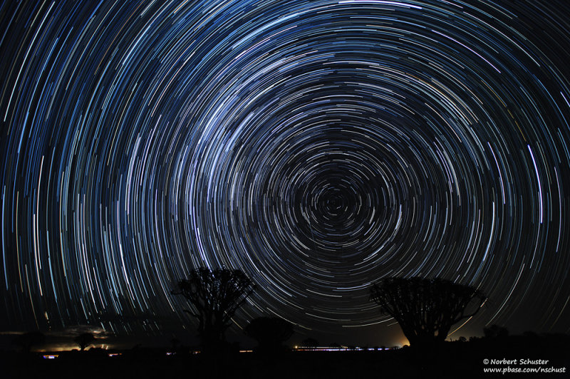 StarTrails And Quiver Trees