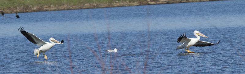 20130217_4450.jpg