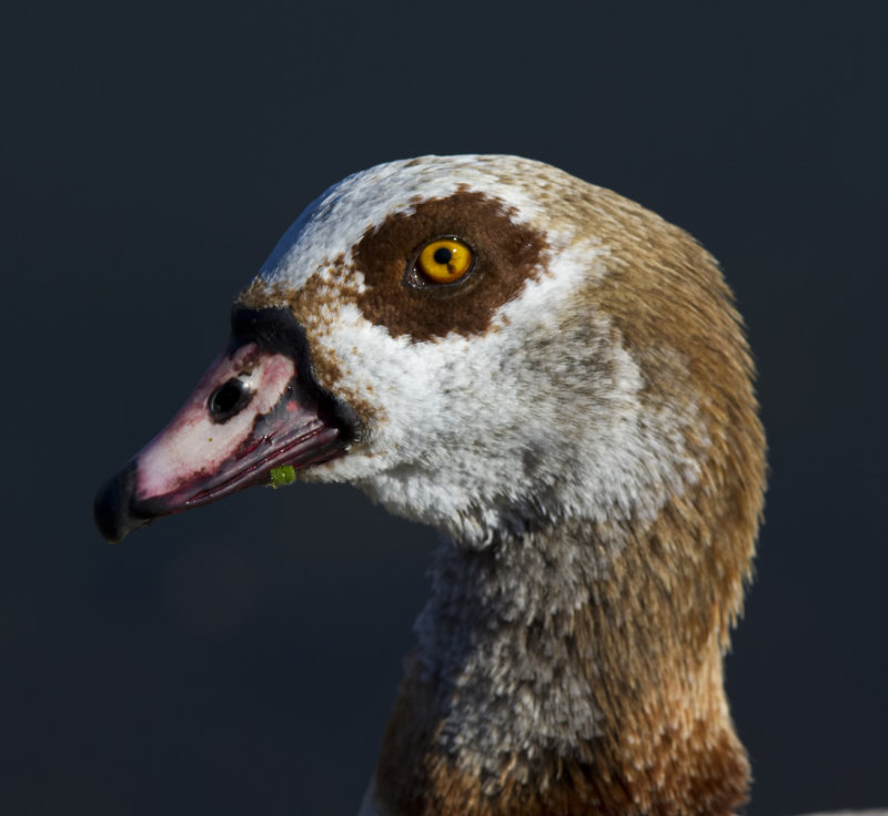 20130223_5116.jpg