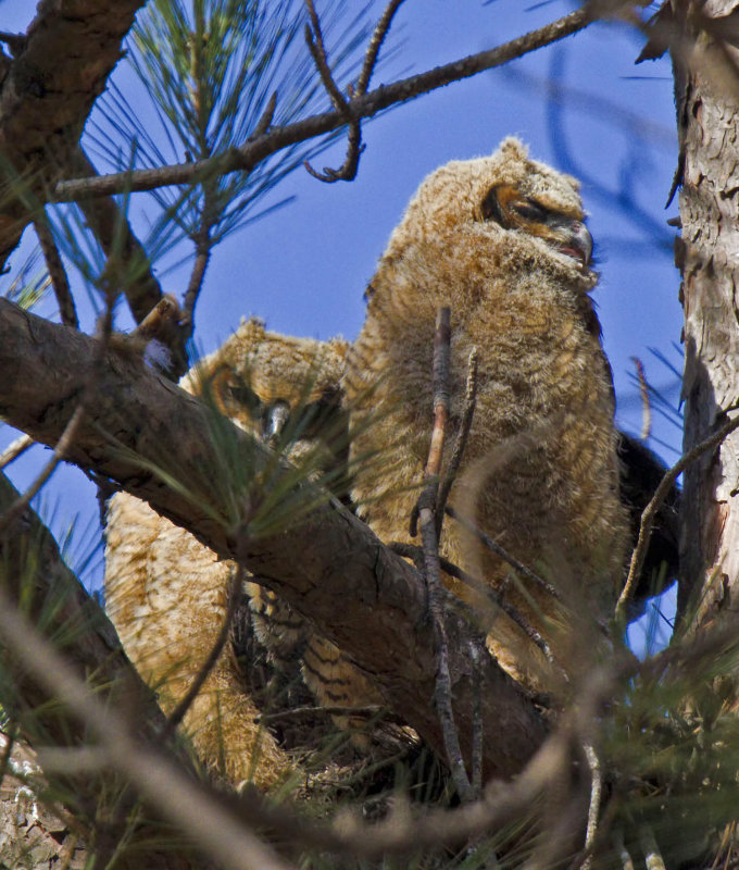 20130303_6804.jpg