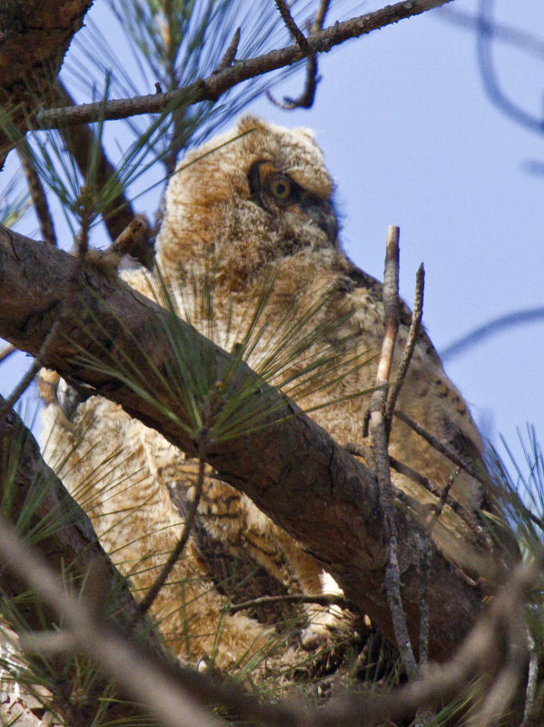 20130303_6835.jpg