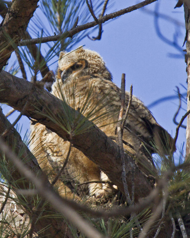 20130303_6854.jpg